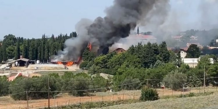 ΤΩΡΑ: Θεσσαλονίκη- Φωτιά στην Αμερικάνικη Γεωργική Σχολή (video)