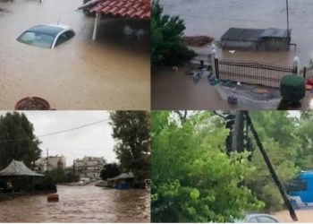 Εύβοια: Ξεκαθαρίστε μας, το 112 πότε σώζει ζωές τελικά, όταν λειτουργεί ή όταν δεν λειτουργεί;