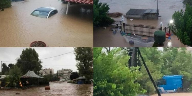 Εύβοια: Ξεκαθαρίστε μας, το 112 πότε σώζει ζωές τελικά, όταν λειτουργεί ή όταν δεν λειτουργεί;