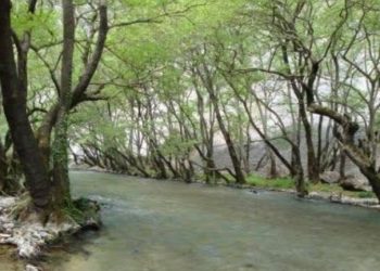 Νέα Τραγωδία: 4χρονο Παιδί Ανασύρθηκε νεκρό από την κοίτη του Λούρου