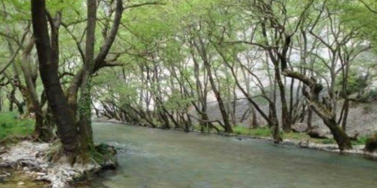 Alldaynews.gr Νέα Τραγωδία: 4χρονο Παιδί Ανασύρθηκε νεκρό από την κοίτη του Λούρου