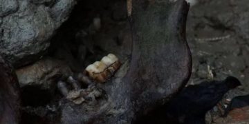 Το καταραμένο νησί: Κόκαλα, πτώματα και κρανία παντού[photos]