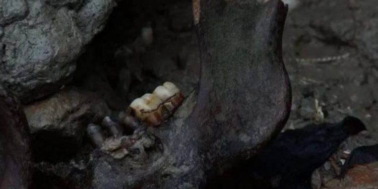 Το καταραμένο νησί: Κόκαλα, πτώματα και κρανία παντού[photos]