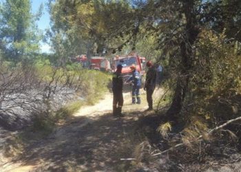 Τραγικό συμβάν στην Πυρκαγιά της Πάτρας: Άντρας καταπλακώθηκε απο Πυροσβεστικό ερπυστριοφόρο