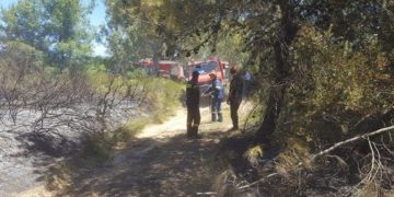 Alldaynews.gr Τραγικό συμβάν στην Πυρκαγιά της Πάτρας: Άντρας καταπλακώθηκε απο Πυροσβεστικό ερπυστριοφόρο