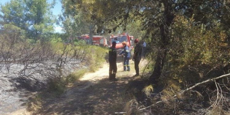 Alldaynews.gr Τραγικό συμβάν στην Πυρκαγιά της Πάτρας: Άντρας καταπλακώθηκε απο Πυροσβεστικό ερπυστριοφόρο