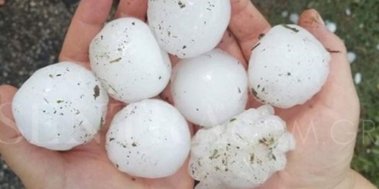 Alldaynews.gr Έπεσε χαλάζι σε σχήμα αυγού! Δείτε τις ζημιές σε αυτοκίνητα, σπίτια και καλλιέργειες (pics, video)