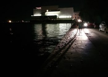 Θεσσαλονίκη: Γέμισε η παραλία με νεκρά ψάρια (pics)