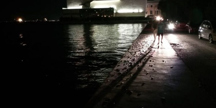 Alldaynews.gr Θεσσαλονίκη: Γέμισε η παραλία με νεκρά ψάρια (pics)