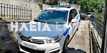 Έπεσε από δέντρο και σκοτώθηκε! Το παράδοξο με την ηλικία του