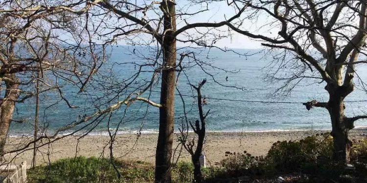 Alldaynews.gr Λάρισα: Έκλεψαν 10.000 ευρώ από επιχειρηματία στην παραλία