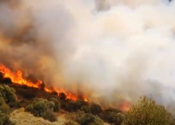 Φωτιά ΤΩΡΑ στις Μυκήνες – Εκκενώθηκε ο αρχαιολογικός χώρος[video]