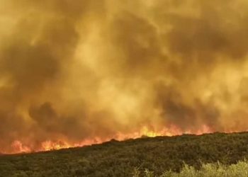 Λακωνία: Καθηλώνουν οι νέες εικόνες από τη μεγάλη φωτιά στη Μάνη! Εκκενώθηκαν οικισμοί (video)
