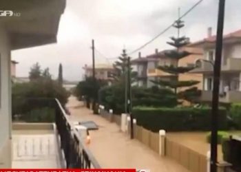 «Οι γονείς μου είναι πιασμένοι σε ένα δέντρο» – Αγώνας για διάσωση ανθρώπων στο Μπούρτζι (Video)