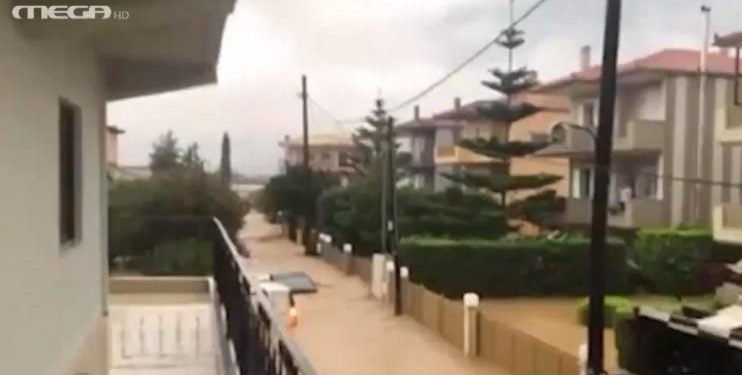 «Οι γονείς μου είναι πιασμένοι σε ένα δέντρο» – Αγώνας για διάσωση ανθρώπων στο Μπούρτζι (Video)