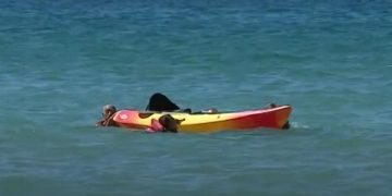 Alldaynews.gr Ήρωας ο 71χρονος πρόεδρος της Πορτογαλίας: Έσωσε δύο γυναίκες στη θάλασσα! (Video)