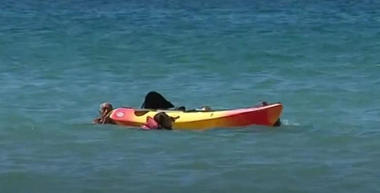 Alldaynews.gr Ήρωας ο 71χρονος πρόεδρος της Πορτογαλίας: Έσωσε δύο γυναίκες στη θάλασσα! (Video)