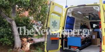 Alldaynews.gr Βόλος: Πήγε να κλαδέψει δέντρο και βρέθηκε με το ΕΚΑΒ στο νοσοκομείο