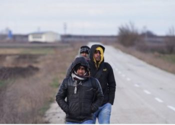 Συμπλοκή στον Έβρο: Τούρκοι που μπήκαν παράνομα στην Ελλάδα επιτέθηκαν σε κτηνοτρόφο