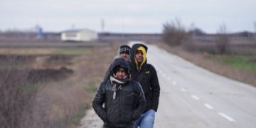 Συμπλοκή στον Έβρο: Τούρκοι που μπήκαν παράνομα στην Ελλάδα επιτέθηκαν σε κτηνοτρόφο