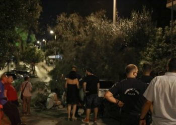 Τραγικό περιστατικό στο Χαλάνδρι: Δέντρο καταπλάκωσε περαστικό[Εικόνες Σοκ]