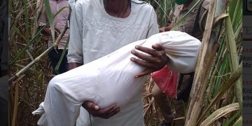 Alldaynews.gr Κτήνη Βίασαν και Στραγγάλισαν 3χρονο κοριτσάκι