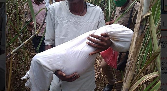 Alldaynews.gr Κτήνη Βίασαν και Στραγγάλισαν 3χρονο κοριτσάκι