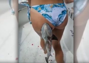 Απίστευτο! Ψάρι δάγκωσε τα οπίσθια λουόμενης[video]