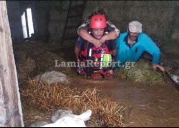 Είχαν ανέβει στις μπάλες από το τριφύλλι για να σωθούν![photos]