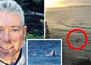 Νεκρός 46χρονος σέρφερ – Η στιγμή της επίθεσης του καρχαρία στη διάσημη Χρυσή Ακτή[video]