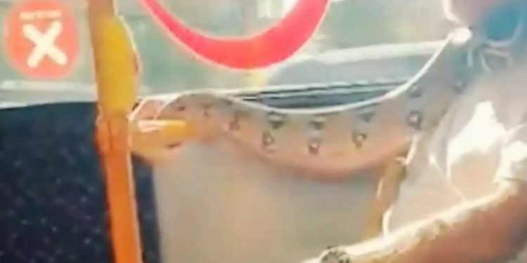 Τύλιξε το πρόσωπό του με φίδι αντί για μάσκα και μπήκε σε λεωφορείο[video]