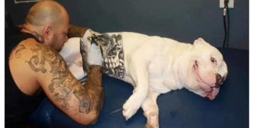 Τατουάζ Σε Κατοικίδια: Μόδα ή Κτηνωδία;[photos]