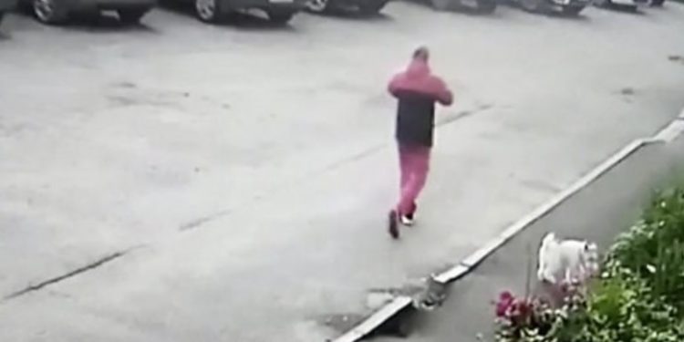 Alldaynews.gr Η απόλυτη φρίκη: Βίασε και τεμάχισε δύο ανήλικες αδελφές 8 και 13 ετών-Τα βρήκε η μητέρα τους