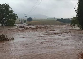Καρδίτσα: «Θέλω να επιστρέψει ζωντανό το παιδί μου» – Συγκλονίζει η μητέρα της 40χρονης αγνοούμενης