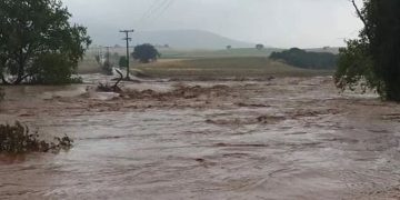 Alldaynews.gr Καρδίτσα: «Θέλω να επιστρέψει ζωντανό το παιδί μου» – Συγκλονίζει η μητέρα της 40χρονης αγνοούμενης