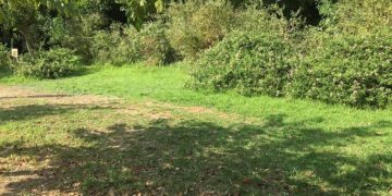 Alldaynews.gr Πεδίον του Άρεως: Μάνα θήλασε το βρέφος,το κοίμισε κάτω από ένα δέντρο και το παράτησε!