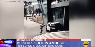 Alldaynews.gr ΗΠΑ: Ενέδρα και εν ψυχρώ πυροβολισμοί σε περιπολικό αστυνομικών – Σοκαριστικές εικόνες (Video)