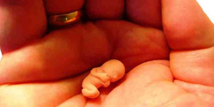 Alldaynews.gr Έλλη 42 ετών: Όποτε έμενα έγκυος το έριχνα κρυφά-Ο άντρας μου δεν το γνωρίζει και θέλει πολύ ένα παιδί!