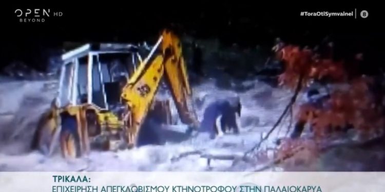 Alldaynews.gr “Ιανός”: Συγκλονιστικός Live! απεγκλωβισμός στα Τρίκαλα