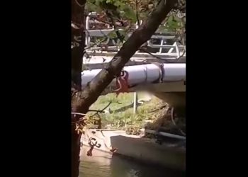 αυνανιζόταν δίπλα στο ποτάμι