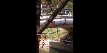 αυνανιζόταν δίπλα στο ποτάμι