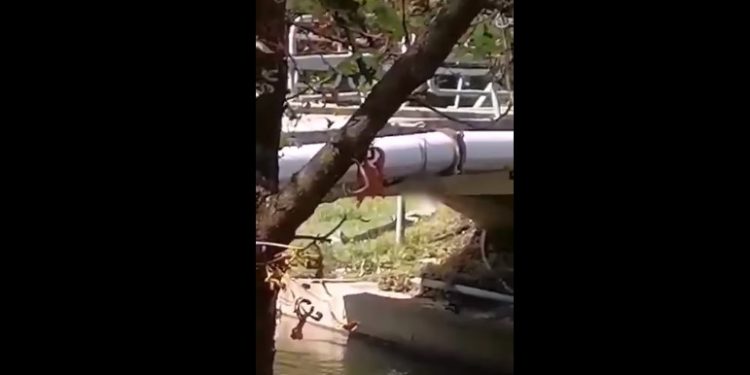 αυνανιζόταν δίπλα στο ποτάμι