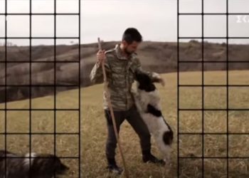 Big Brother: Νέος παίκτης! Νίκος Ζέκος ο 26χρονος Νιόπαντρος Κτηνοτρόφος![video]