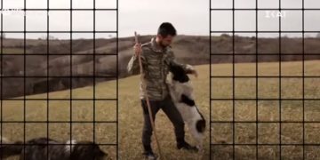 Big Brother: Νέος παίκτης! Νίκος Ζέκος ο 26χρονος Νιόπαντρος Κτηνοτρόφος![video]