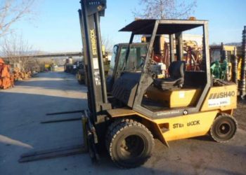 Τραγωδία: Νεκρό 10χρονο αγόρι- Καταπλακώθηκε από κλαρκ