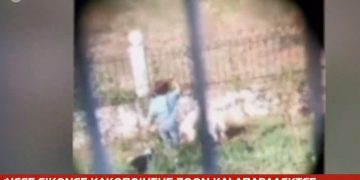 Αγρίνιο: Γυναίκα κακοποιεί τα σκυλιά της και τα αφήνει να αλληλοτρώγονται[video]