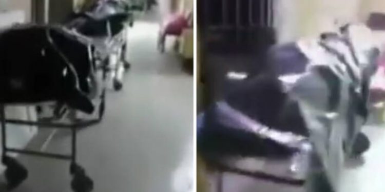 Alldaynews.gr Εικόνες φρίκης σε Νεκροτομείο: Δεκάδες πτώματα στοιβαγμένα στους διαδρόμους