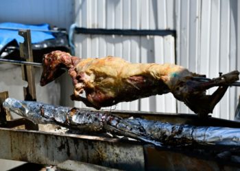 Παγώνη: Ξεχάστε τα Χριστούγεννα και βλέπουμε αν θα σουβλίσουμε αρνί