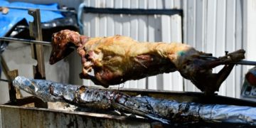 Alldaynews.gr Παγώνη: Ξεχάστε τα Χριστούγεννα και βλέπουμε αν θα σουβλίσουμε αρνί