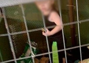 Φρίκη:  Μωρό ενός έτους ζούσε σε κλουβί μαζί με βόα, κατσαρίδες και περιττώματα